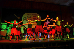 MVS-Prunksitzung-2018-079